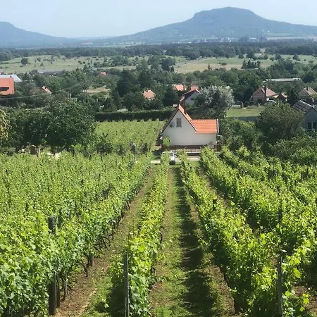 Nyaraló Ruzsa